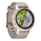 Garmin D2s