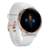 Garmin Venu 2s Watch Bands